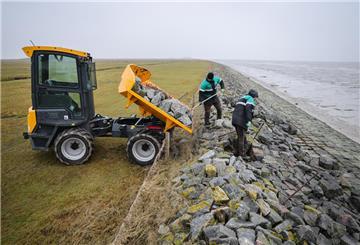 Zwei Mitarbeiter vom Landesbetrieb für Küstenschutz, Nationalpark und Meeresschutz Schleswig-Holstein (LKN.SH) reparieren schadhafte Stellen im Deckwerk auf der Hallig Langeneß. An der Nordsee werden die Deiche im Herbst begutachtet. Experten sehen sie gut gerüstet, warnen aber vor steigenden Belastungen durch den Klimawandel.