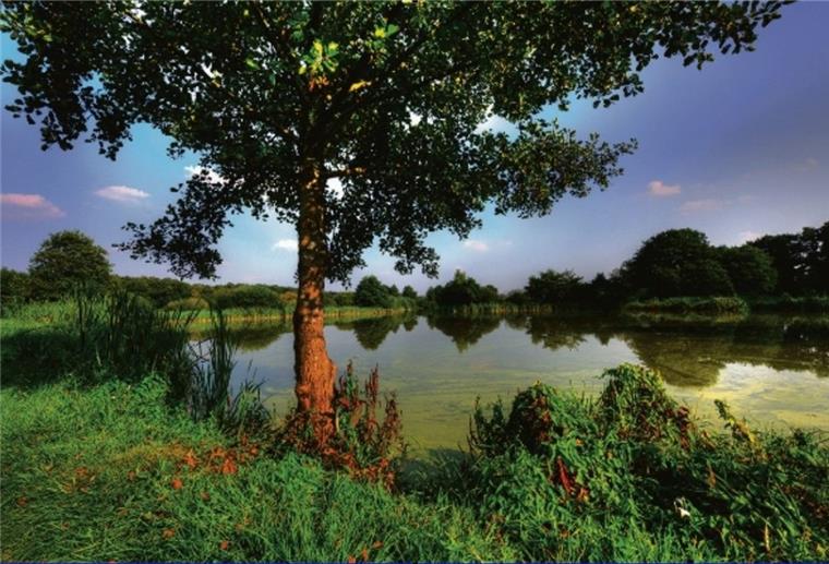 Größte Pakete sind geschnürt An der Oste entsteht eines der größten Naturschutzgebiete im Landkreis Rotenburg. Der Umweltausschuss brachte die entsprechende Verordnung nun auf den Weg.