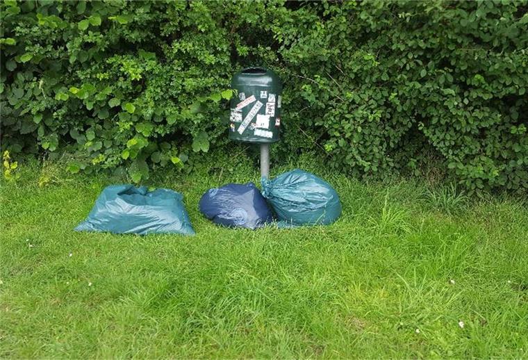Ilegale Müllhalden in Nordenham ein Problem An einer Hecke in Friedrich-August-Hütte haben Unbekannte ihren Müll illegal entsorgt.