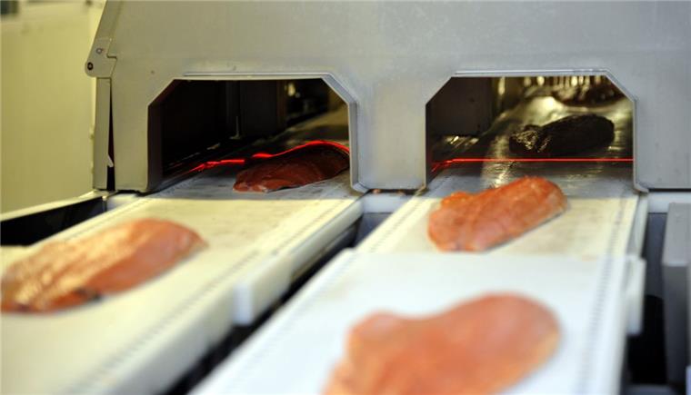 Voll teuer: Lachs ist Luxus An Weihnachten essen viele Deutsche Lachs. Unser Bild entstand beim Marktführer Fisch, der Deutschen See in Bremerhaven.
