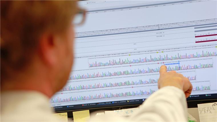 Analysiert wurde das Blut von Forschern der Universität Göttingen. 
