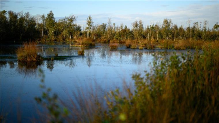 „Enorme Chance für Klimaschutz“ - BUND setzt auf nasse Moore Anders als etwa das Goldenstedter Moor in der Diepholzer Moorniederung sind viele Moorflächen in Niedersachsen entwässert und damit nicht mehr intakt. (Archivbild)