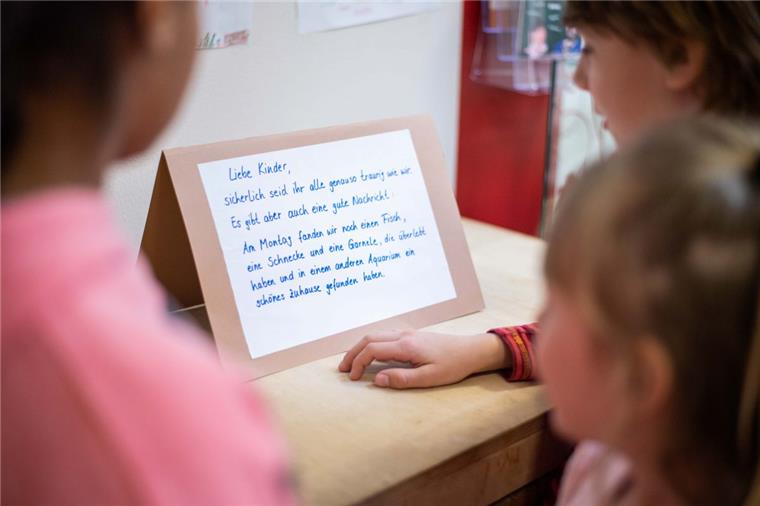 Nach Einbruch in Amerikanische Schule: Schüler trauern Fischen nach Anders als ursprünglich gemeldet, sind doch nicht alle Fische bei der Zerstörung des Aquariums gestorben. Drei Tiere haben überlebt.