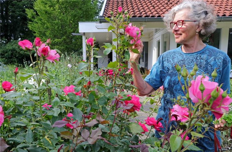 Zeven: Frau aus Weertzen will der Natur etwas zurückgeben Angela von Fischer-Burfeind ist passionierte Natur- und Gartenfreundin und hat ihr grünes Paradies in den letzten Jahren immer insektenfreundlicher gestaltet.