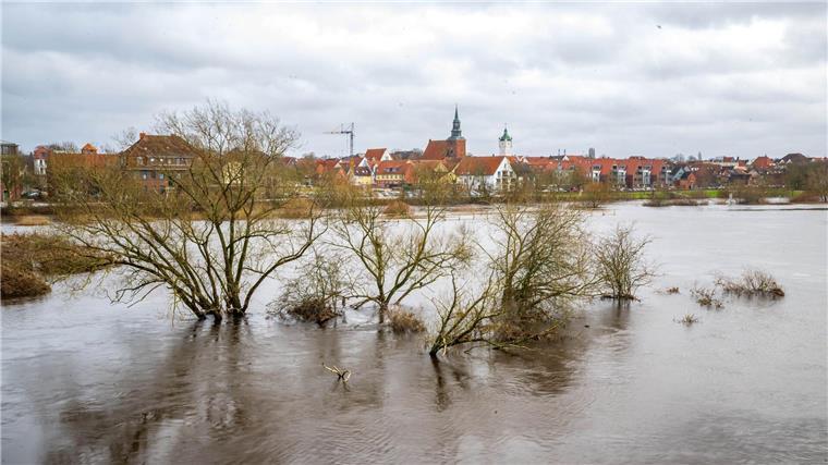 Angeschwemmter Plastikmüll hat nach dem Winterhochwasser die Aufräumarbeiten erschwert. (Archivbild)