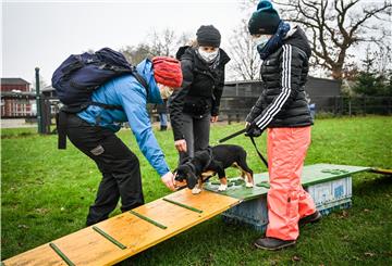 Anja Nicolaus (links) und deren Tochter Emma sind mit Sammy beim Hundetraining von Canan Matthießen. 