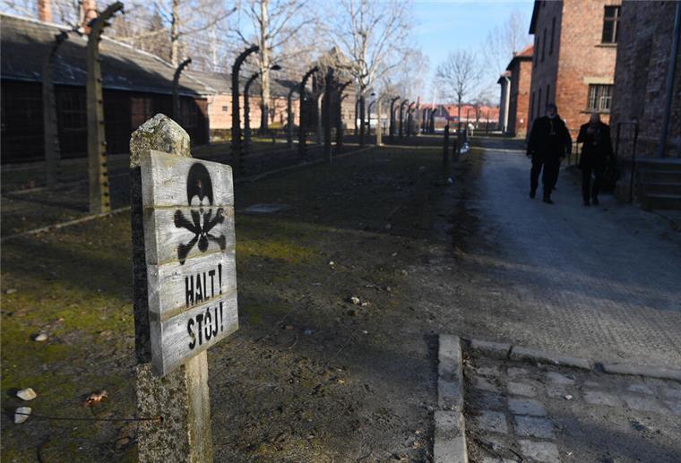 80 Jahre nach Auschwitz: Wissen schwindet, Erinnerung bleibt essenziell Ein Schild mit der Aufschrift "Halt Stop" im Konzentrations- und Vernichtungslager Auschwitz.