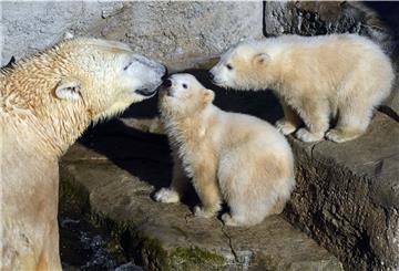 Anna und Else spielen mit ihrer Mutter im Zoo am Meer. Wann der Zoo wieder für Besucher öffnet, ist noch nicht klar.