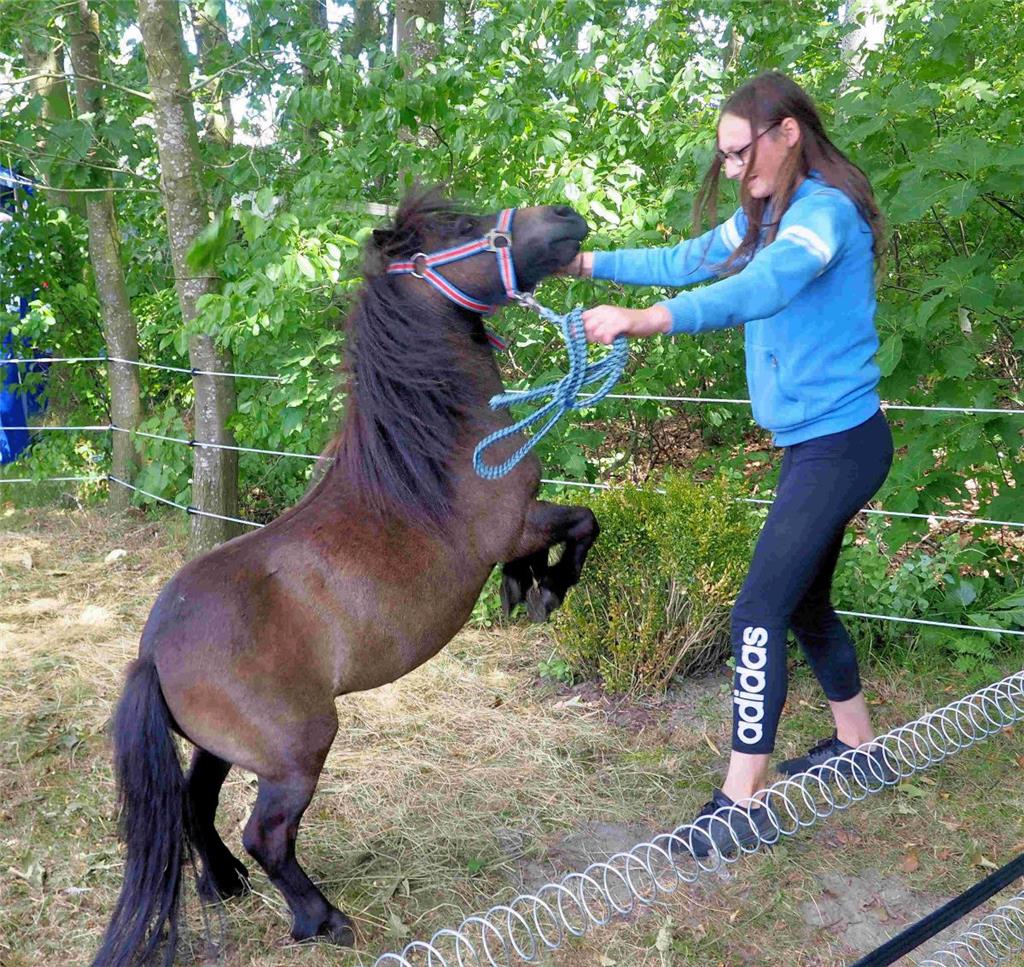 Anne aus Cappel kann gut mit Ponys umgehen. Foto Stehn