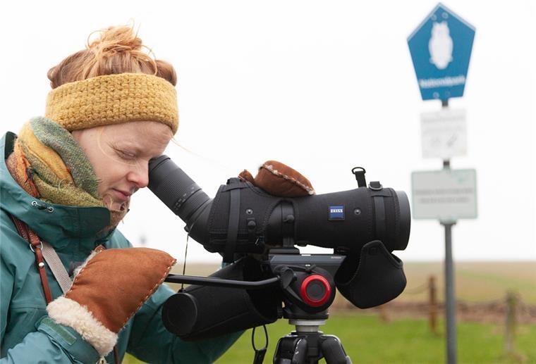 Anne de Walmont: Vogelkundlerin macht Hobby zum Beruf Anne de Walmont trotzt jedem Wetter: Als ehrenamtliche Vogelzählerin ist sie zweimal im Monat an der Wurster Küste unterwegs.