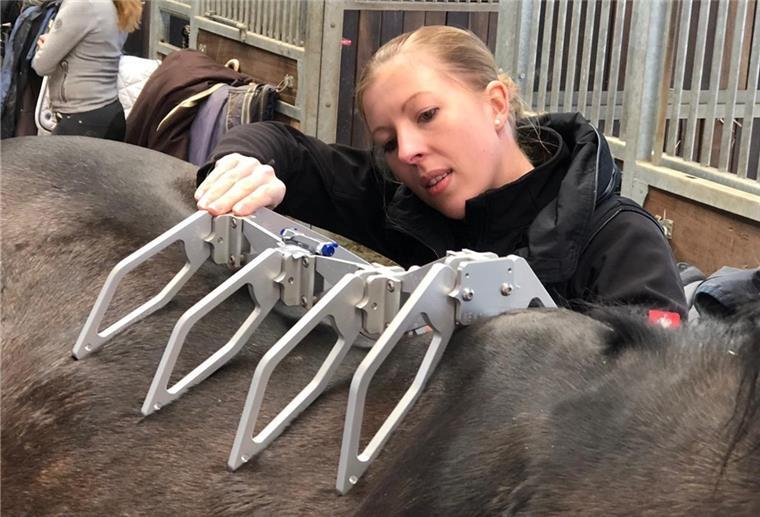 Sattel-Ergonomin aus Ovelgönne: Hilfe für Pferd und Reiter Antje Kruse vermisst den Rücken des Pferdes mit einem sogenannten Arc Device. Damit kann sie die Rückenlinie nachformen.