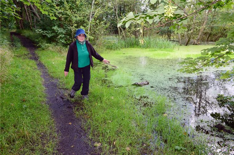 Wulsdorf: Sorgen über das viele Wasser Anwohner wie Dagmar Vogt sorgen sich um den Wasserwerkswald in Wulsdorf. Immer häufiger und länger stünden dort Bäume unter Wasser, Die könnten absterben oder umkippen. Dabei seien die Bäume wichtig, weil sie dem Gebiet Wasser entziehen.
