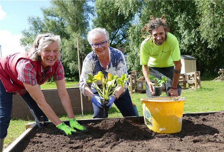 Stotel: Gärtner „Pul“ kümmert sich um jede kleine Pflanze Anwohnerin Sylvia Seetzen (Mitte) unterstützt gemeinsam mit anderen Gartenfreunden Anne Böttjer und Sergio „Pul“ Martinez Sanchez bei den ersten Pflanzungen.