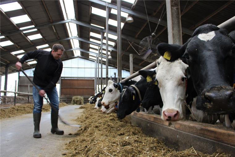 Krempeler Kühe belegen den ersten Platz Arno Mohrmann legt Wert auf die Gesundheit seiner Tiere.