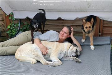 Astrid Heid aus Zeven nimmt immer wieder Pflegehunde aus Ungarn und Rumänien auf und vermittelt sie dann in neue Familien in Deutschland. 