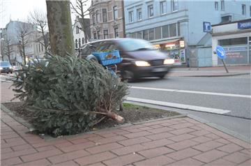 Auch 2017 landeten die Weihnachtsbäume in Bremerhaven sehr früh an den Straßen.