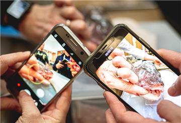 Auch 2023 werden die Insta-Walks der Erlebnis veranstaltet und geben zahlreiche Einblicke.