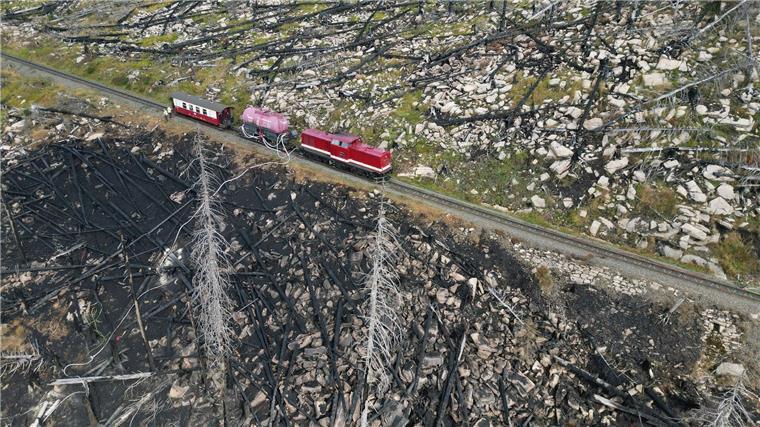 Brand am Brocken gelöscht - Ermittler suchen nach Ursachen Auch am Mittwoch wurden noch kleinere Brandstellen am Königsberg im Harz gefunden.