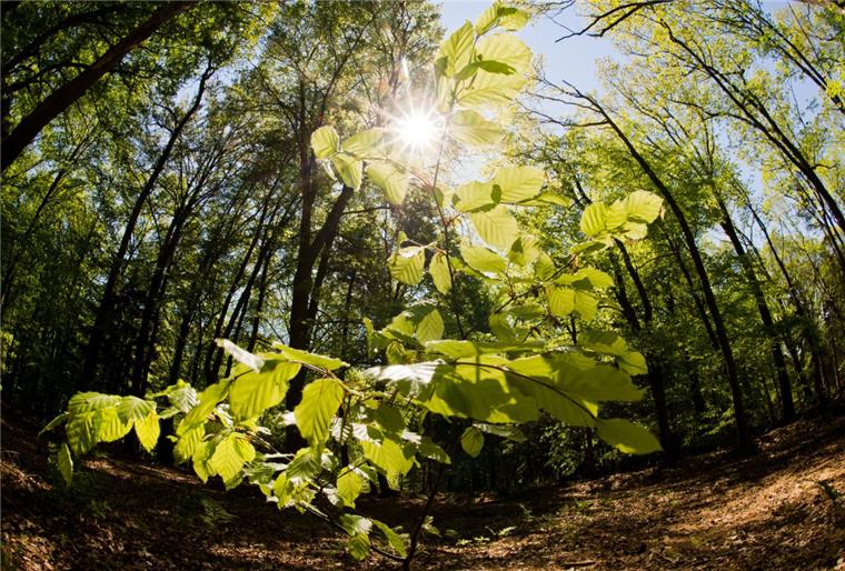 Zusammengefasst. Das war der Freitag im nord24-Land Auch am Wochenende soll es so sonnig sein wie am heutigen Freitag.
