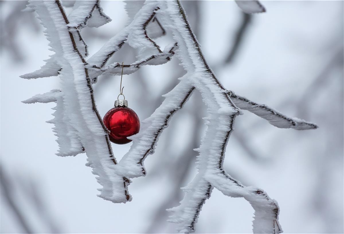Baumschmuck an einem zugeschneiten Ast
