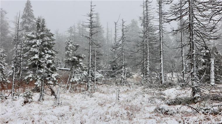 Auch auf dem Brocken hat es geschneit.