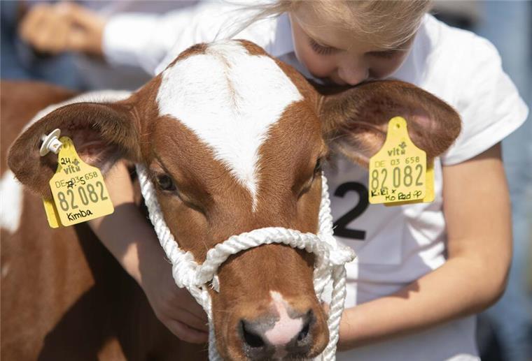 Tarmstedter Ausstellung, Tarmstedt, Tierschau, Jungzüchter