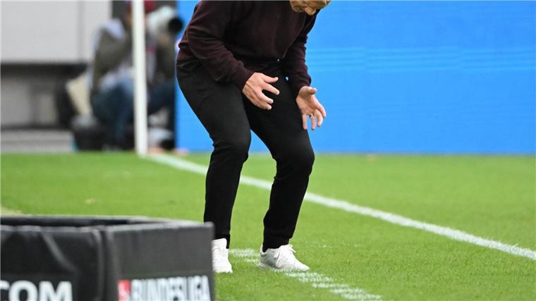 Krise auf Schalke als Dauerzustand - Geraerts unter Druck Auch bei Schalkes Trainer Geraerts ist die Verzweiflung groß.