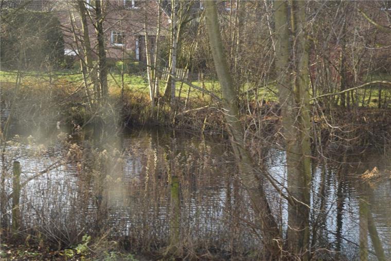 "Unser Dorf hat Zukunft": Jury nimmt Rhade in den Blick Auch das gehört zu Rhade: idyllisches Regenrückhaltebecken am Rande eines Neubaugebietes.
