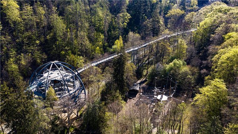 Auch der Baumwipfelpfad im Harz ist als Ort für Trauungen beliebt. (Archivbild)