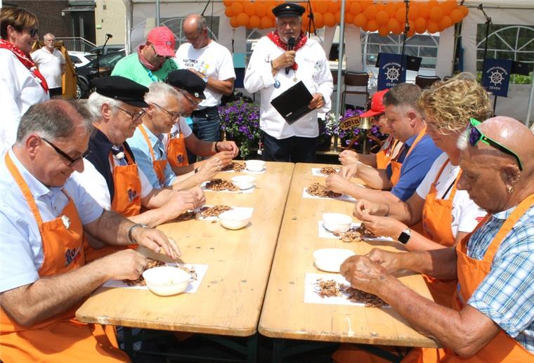 Zeven erneut Matjeshochburg: Krabbenpul-Wettbewerb und Shantyfest Auch der beliebte Krabbenpul-Wettbewerb zählt traditionell zum Matjesfest