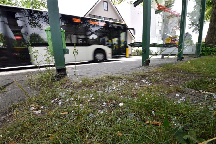 Bremerhaven: Noch mehr kaputte Scheiben an Bushaltestellen Auch die Bushaltestelle am Altmarkt Lehe wurde beschädigt.