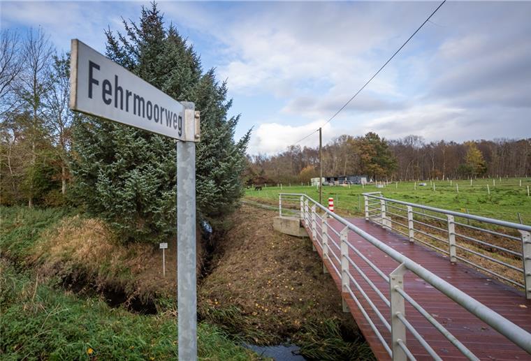 Auch die Fachplanung für das Fehrmoorgebiet ist in dem Topf. Die Stadt möchte gerne den inneren Kern des Moores wiedervernässen.