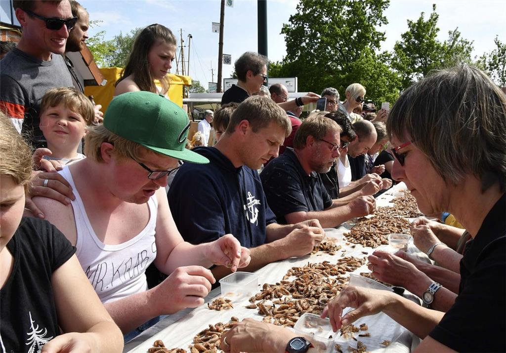 Auch die Könner suchten den Wettkampf: Zum ersten Mal nahm auch Krabbenfischer S...