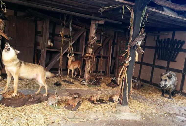 Hubertusmarkt im Heimatmuseum Debstedt Tierausstellung im Heimatmuseum Debstedt