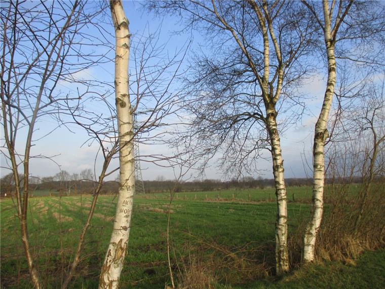Auch entlang des Plätternweges führt der künftige Rundweg durch Natur, so weit das Auge reicht. Hier aber fehlen noch Bänke zum Ausruhen.