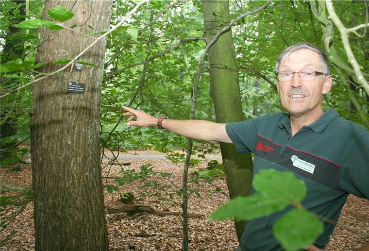 Auch Friedwald-Mitarbeiter Dieter Wegner hat sich einen Baum gesichert. Hier ruhen bereits seine Eltern.