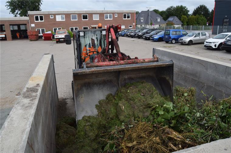 Geestland: Aus Grüngut soll saubere Energie werden Auch im Bauhof Langen wird Grüngut von öffentlichen Flächen angefahren. Marcel Schneider schiebt die angelieferte Menge regelmäßig mit seinem Fahrzeug zusammen. Künftig soll Grüngut aus Geestland im Energiewerk in Bad Bederkesa verwendet werden, um Strom zu erzeugen.