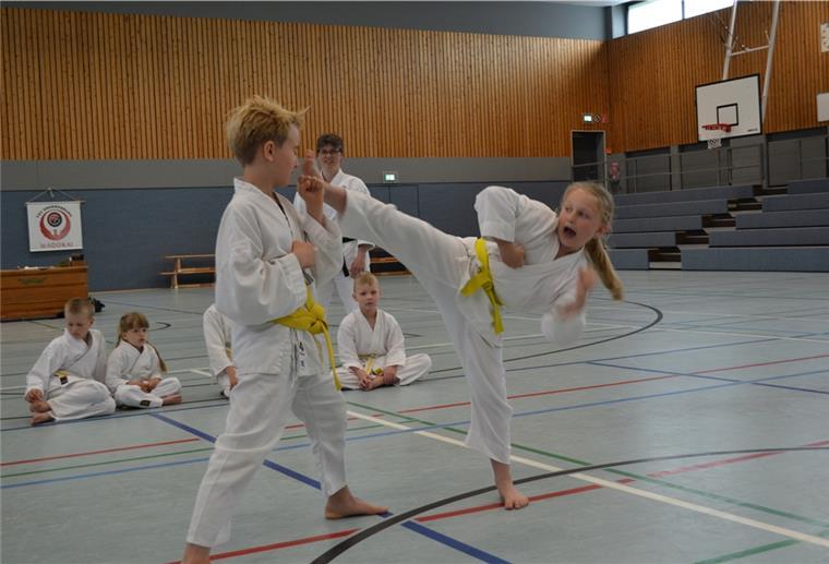 Sommerferien: So viel Sport geht in Bederkesa Auch Karate läuft wieder in den Ferien beim TSV Bederkesa.