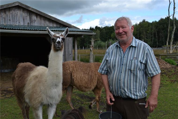 Tierpark Cux-Art in Beverstedt startet durch: So verrückt ist die Tierwelt Auch Lamas gibt es in Heinz-Christian Steiners Tierpark in Beverstedt, nur eine von über 30 Arten.
