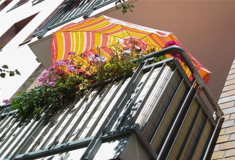 Auch Pflanzen können einen Sonnenbrand bekommen Auch Pflanzen können unter Hitze und starker Sonneneinstrahlung leiden. Erste Hilfe bietet ein Sonnenschirm für Blumen und Co.