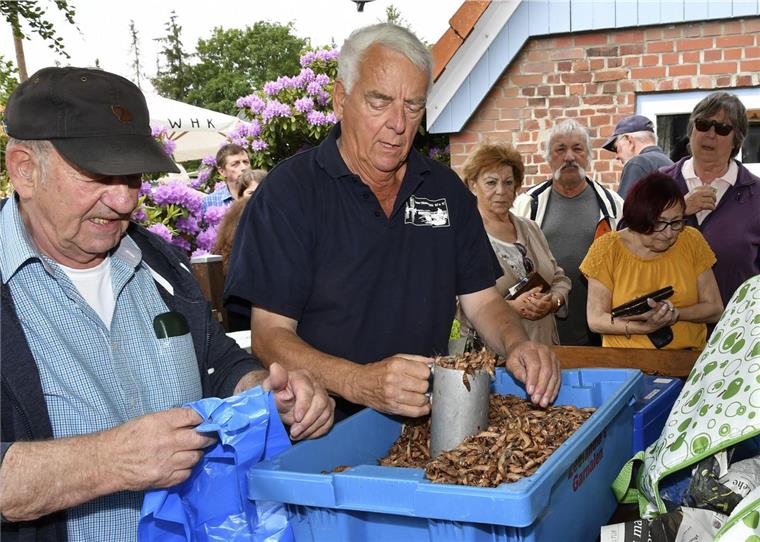 Auch topfrische Krabben in Schale können die Gäste beim Krabbentag in Wremen kaufen. Abgewogen wird mit dem traditionellen Litermaß.