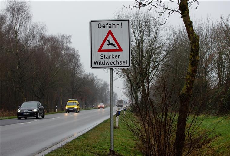 140 Wildunfälle auf den Straßen in der Wesermarsch Auf dem Abschnitt der Bundesstraße 212 zwischen Stadtwald und Seenpark ist der Wildwechsel besonders stark. Schilder weisen darauf hin. Die Jägerschaft bittet um rücksichtsvolles Fahren – zum Schutz der Autofahrer und des Wildes.