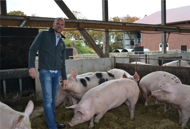 Cuxland: Bio als Chance für Schweinhalter Auf dem Bio-Hof von Matthias und Wiebke Icken in Sievern können die Schweine ihrem natürlichen Spieltrieb nachgehen.