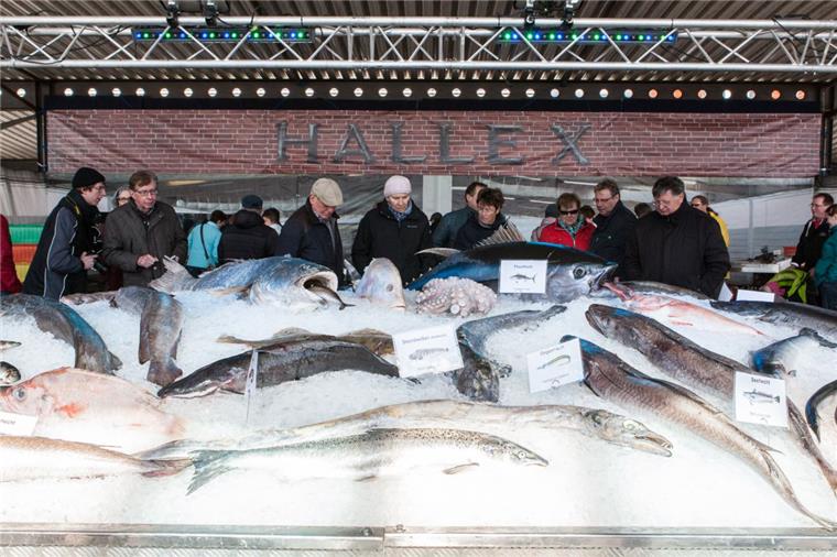 Fischparty ist wieder ein Renner Auf dem Eisbett im Nachbau der historischen Halle X gibt es rund 60 verschiedene Sorten von Fischen sowie Krusten- und Schalentiere zu sehen.