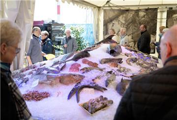 Auf dem Eisbett wird die Vielfalt der „Fischwelt“ dargestellt.