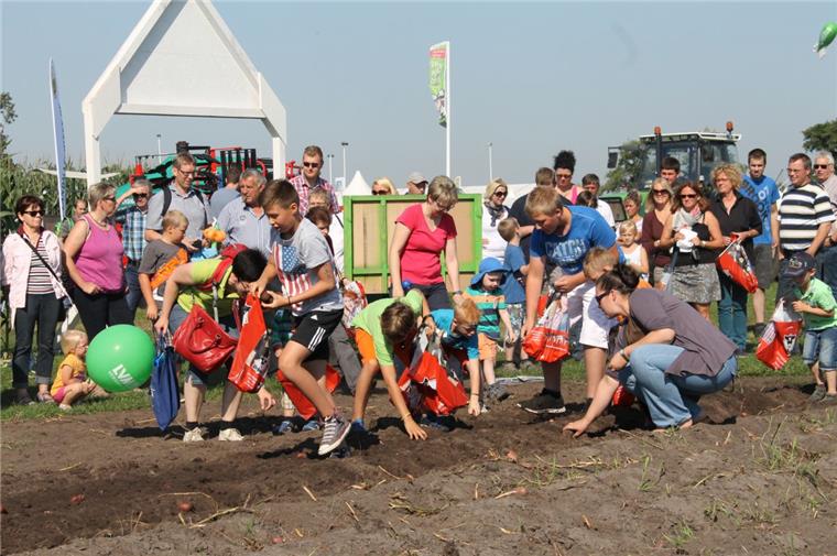 Landtage Nord in Wüsting: Landwirtschaft zum Anfassen Auf dem Gelände der Landtage Nord können Kinder wieder nach der dicksten Kartoffel suchen.
