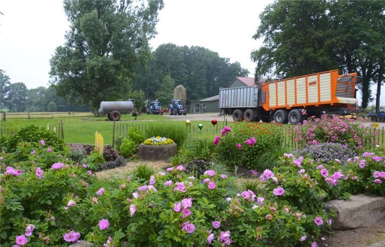"Unser Dorf hat Zukunft": Malstedt stellt sich Landes-Jury Auf dem Hof Bösch, einem der größten in Malstedt, konnte sich die Jury von „Unser Dorf hat Zukunft“ ein Bild vom gelungenen Nebeneinander von Landschaft und Landwirtschaft machen.