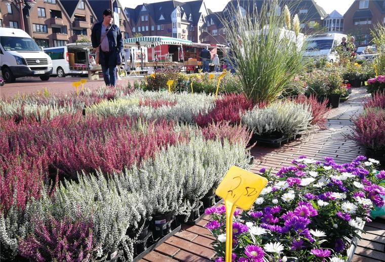 Nordenhamer Wochenmarkt: Seit über 100 Jahren Tradition Auf dem Nordenhamer Wochenmarkt bieten verschiedene Händler gerade jetzt zur Pflanzzeit ein breites Angebot an Blumen, Stauden und diversen Sträuchern an.