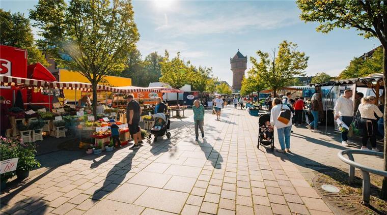 Besondere Markttage und monatlichen Highlights auf dem Wochenmarkt in Geestemünde Wochenmarkt Geestemünde