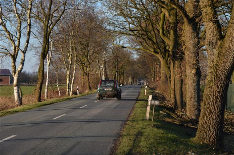 Kreis Cuxhaven: Radwegeplan wird zum Desaster Auf den Radweg an der K18 - hier zwischen Bad Bederkesa und Flögeln - werden die Bürger noch warten müssen.